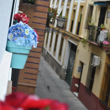 Apartmán Triana Pelay *