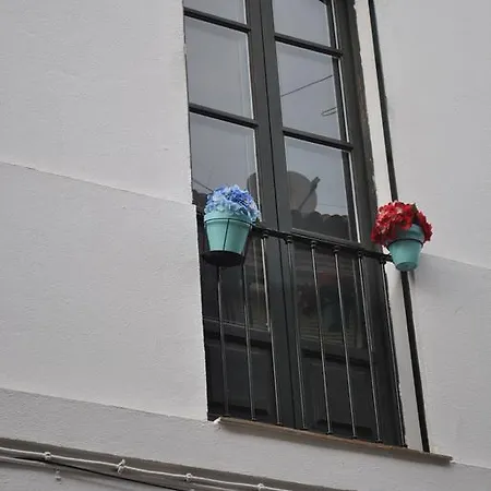 Apartmán Triana Pelay