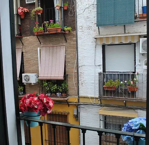 Triana Pelay Sevilla
